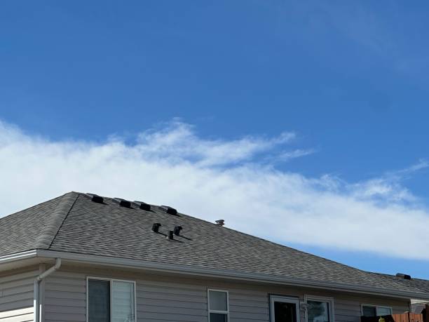 Best Storm Damage Roof Repair  in Ponderosa Pine, NM